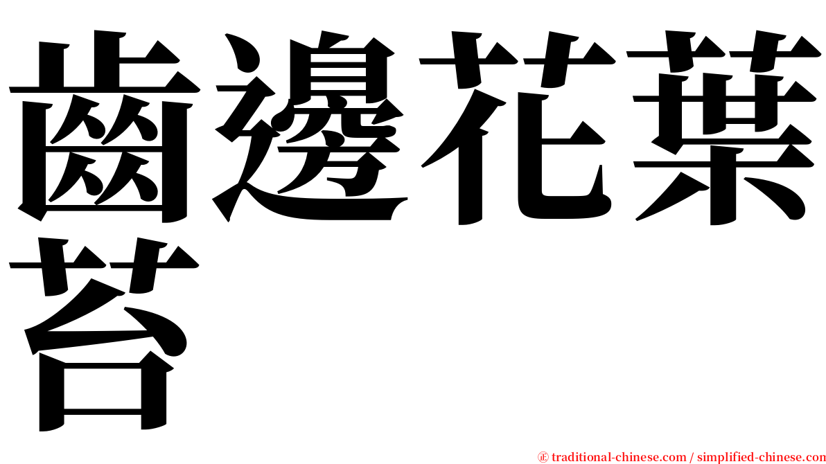 齒邊花葉苔 serif font