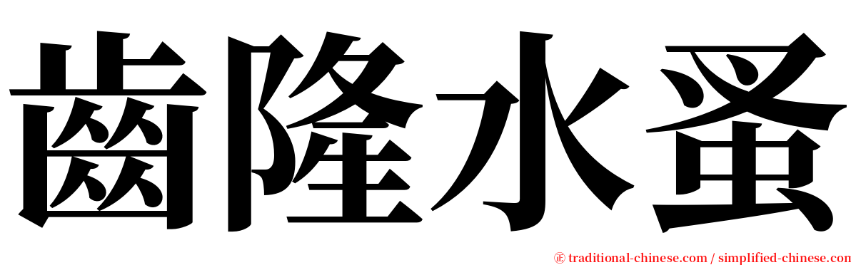 齒隆水蚤 serif font