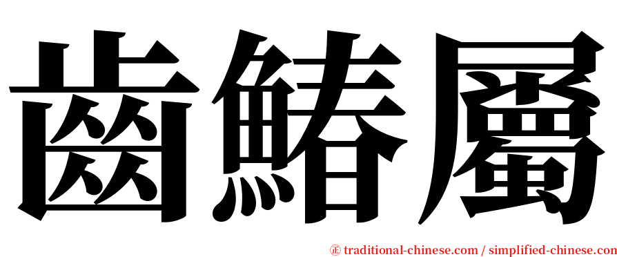 齒鰆屬 serif font