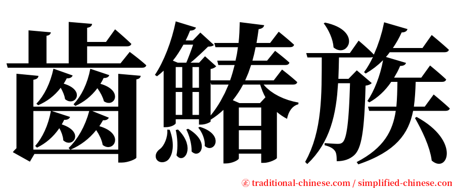 齒鰆族 serif font