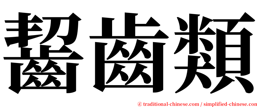 齧齒類 serif font