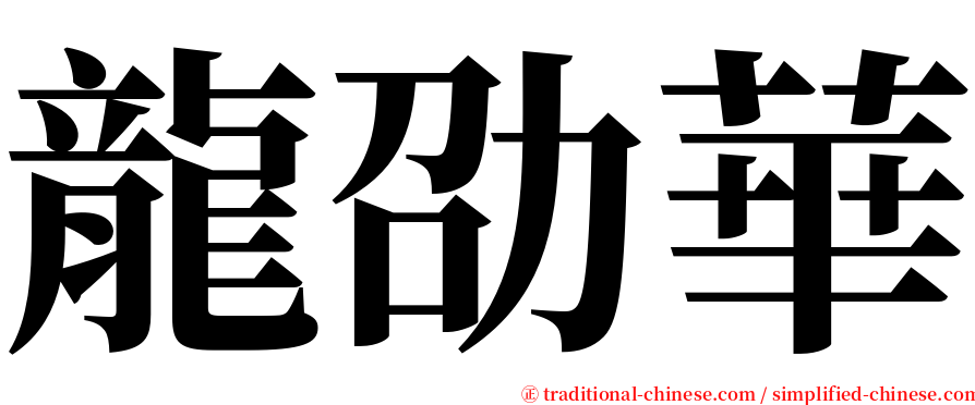 龍劭華 serif font