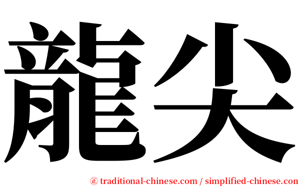 龍尖 serif font