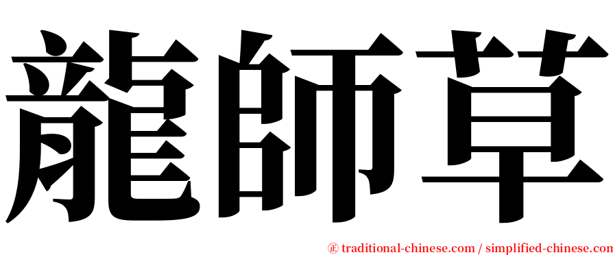 龍師草 serif font