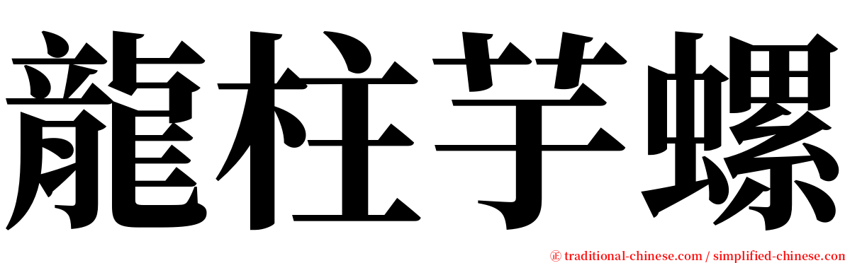 龍柱芋螺 serif font