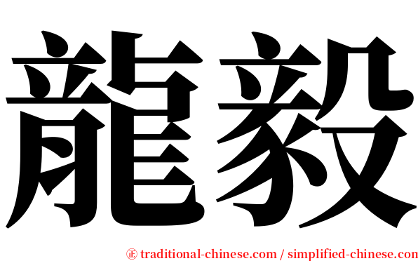 龍毅 serif font