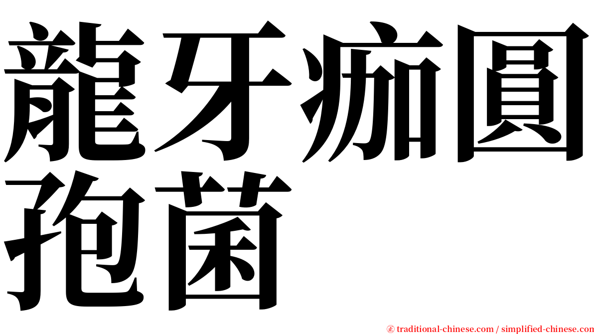 龍牙痂圓孢菌 serif font