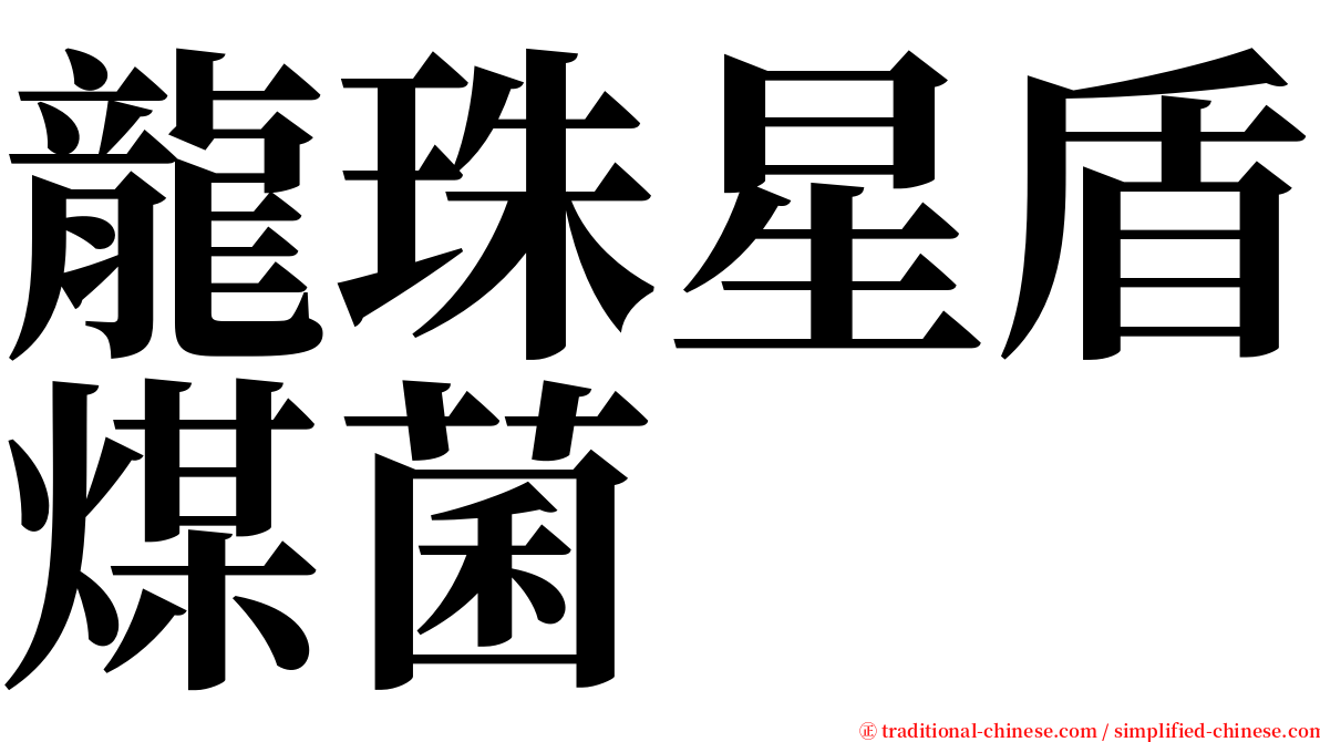 龍珠星盾煤菌 serif font