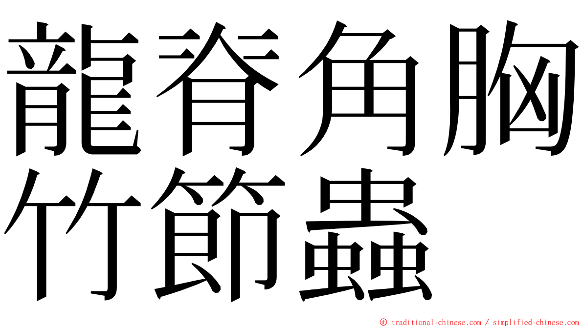 龍脊角胸竹節蟲 ming font