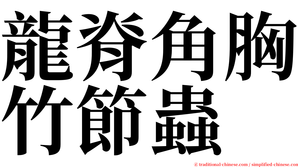 龍脊角胸竹節蟲 serif font
