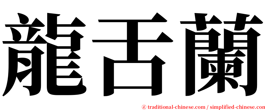 龍舌蘭 serif font