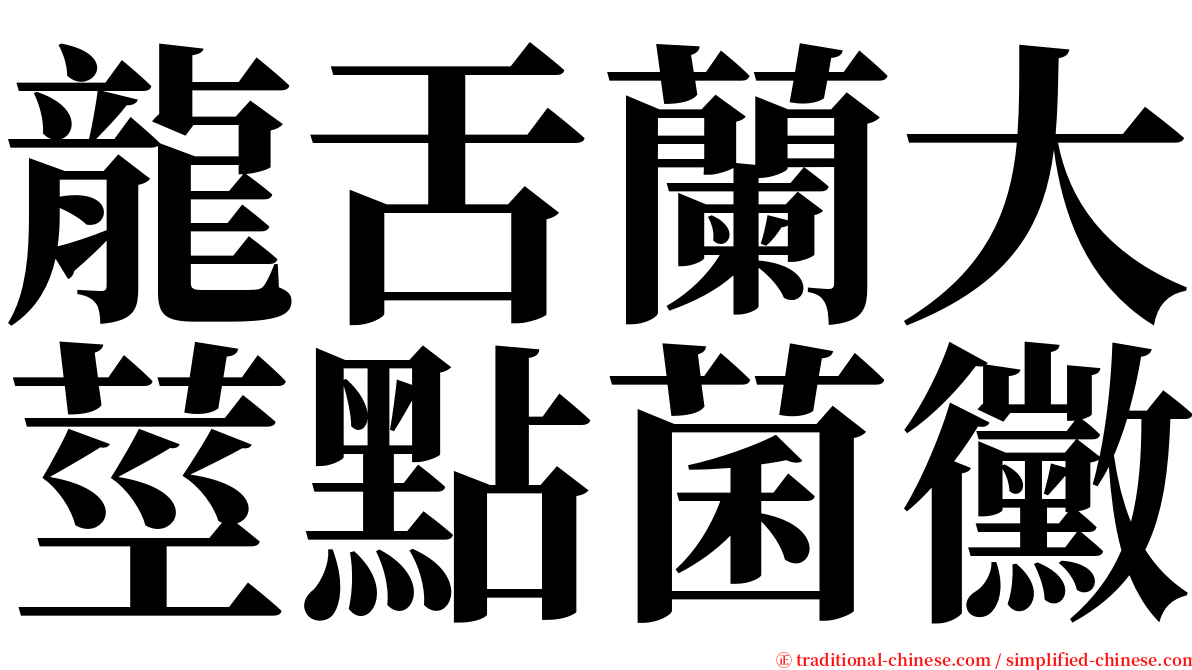 龍舌蘭大莖點菌黴 serif font