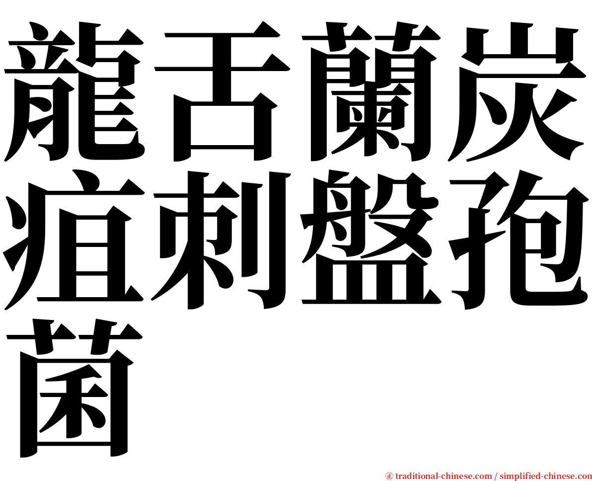 龍舌蘭炭疽刺盤孢菌 serif font