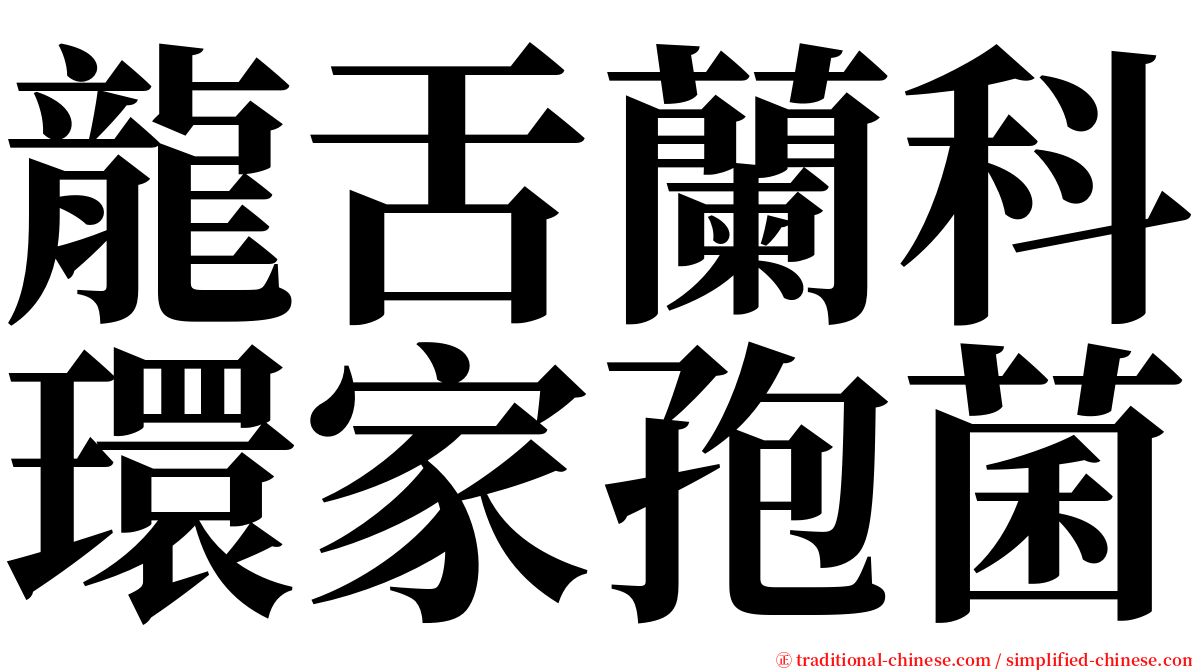 龍舌蘭科環家孢菌 serif font