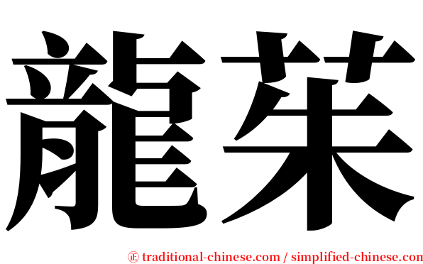 龍茱 serif font