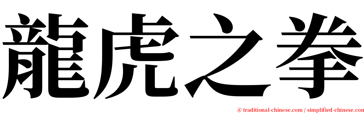 龍虎之拳 serif font