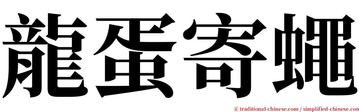 龍蛋寄蠅 serif font