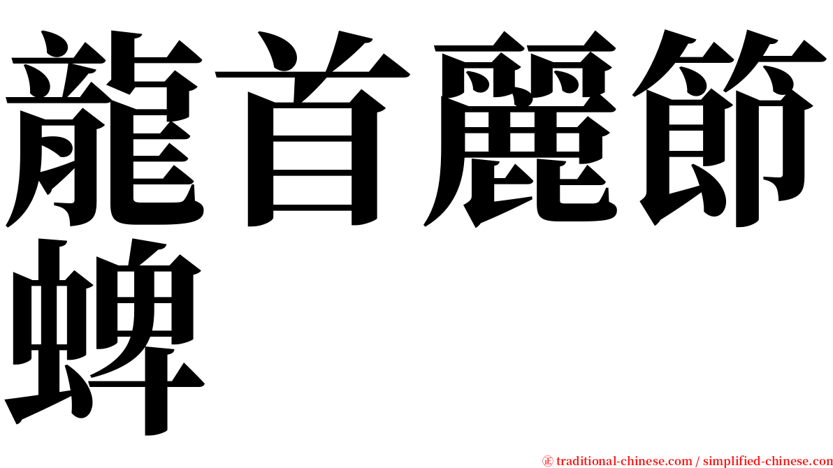 龍首麗節蜱 serif font