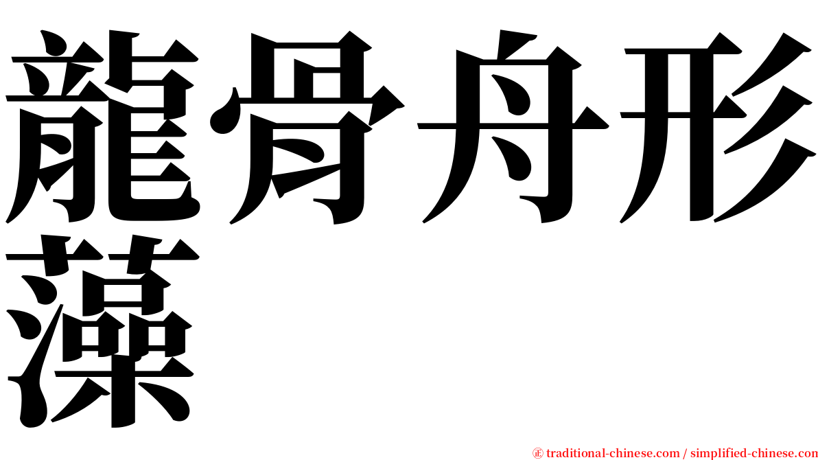 龍骨舟形藻 serif font