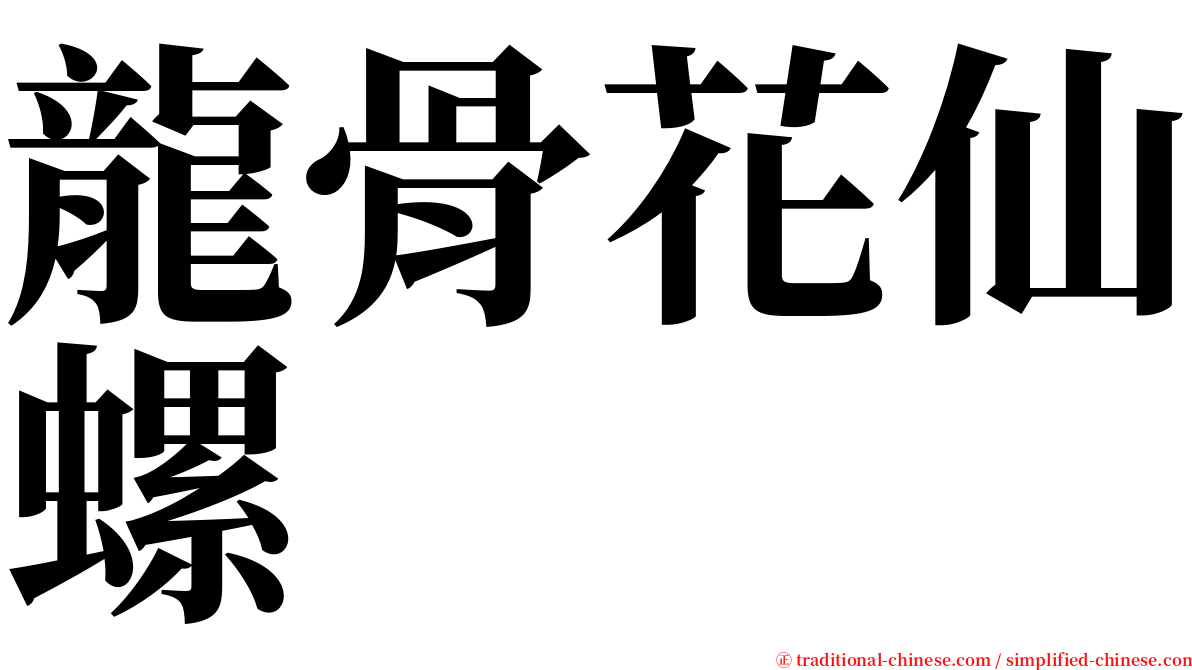 龍骨花仙螺 serif font