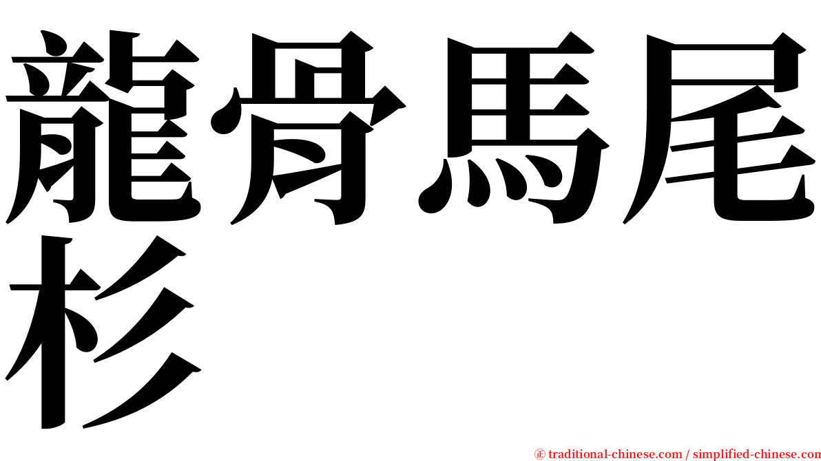 龍骨馬尾杉 serif font