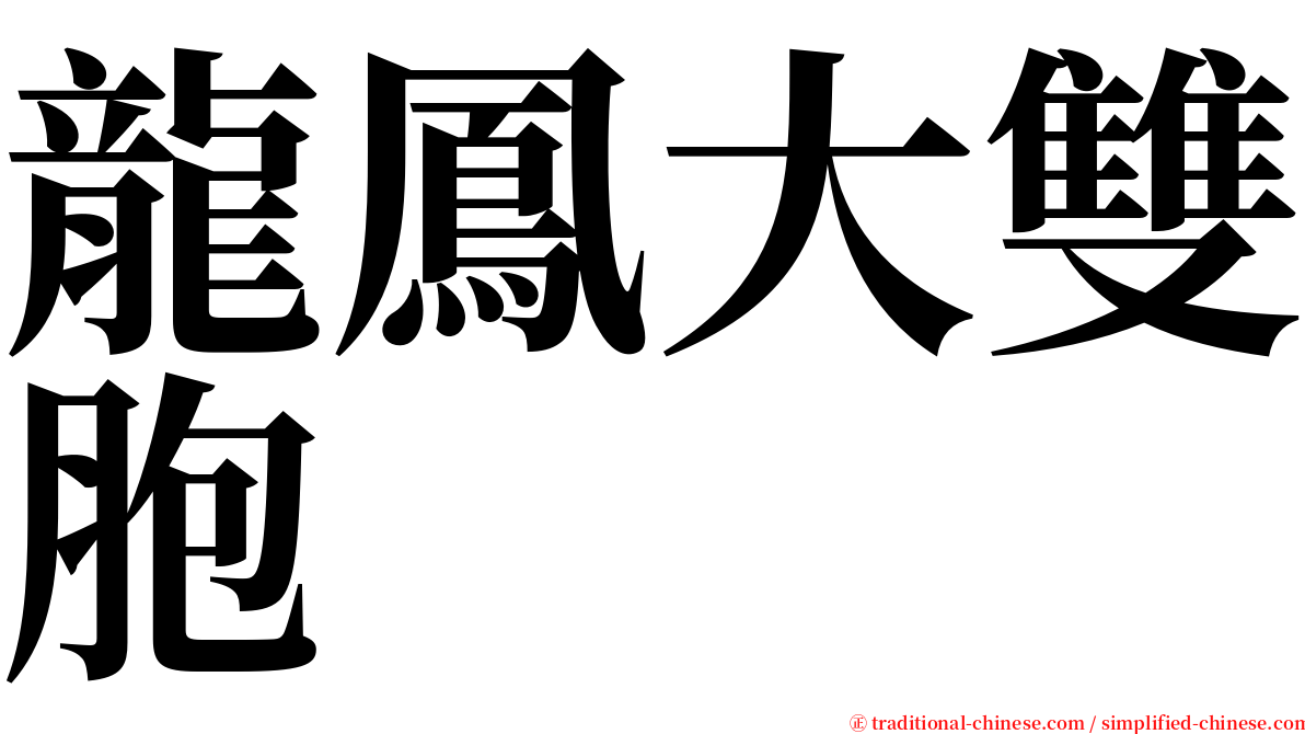 龍鳳大雙胞 serif font