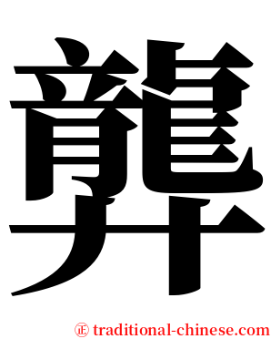 龏 serif font