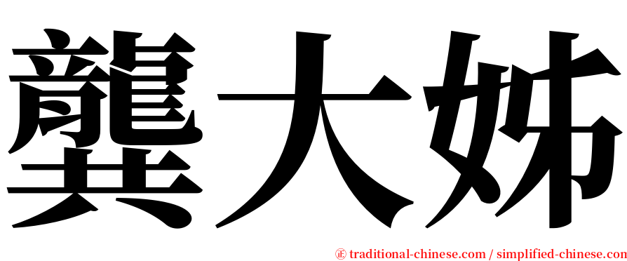 龔大姊 serif font