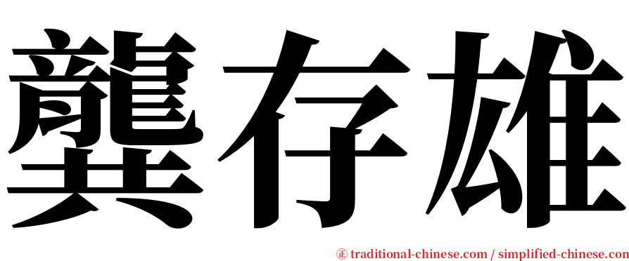 龔存雄 serif font