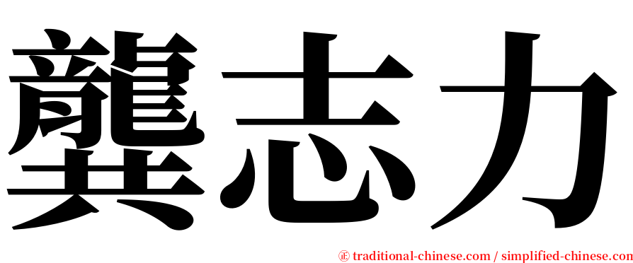 龔志力 serif font