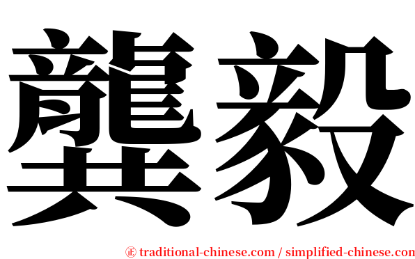 龔毅 serif font