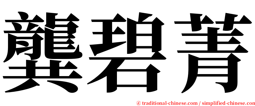 龔碧菁 serif font