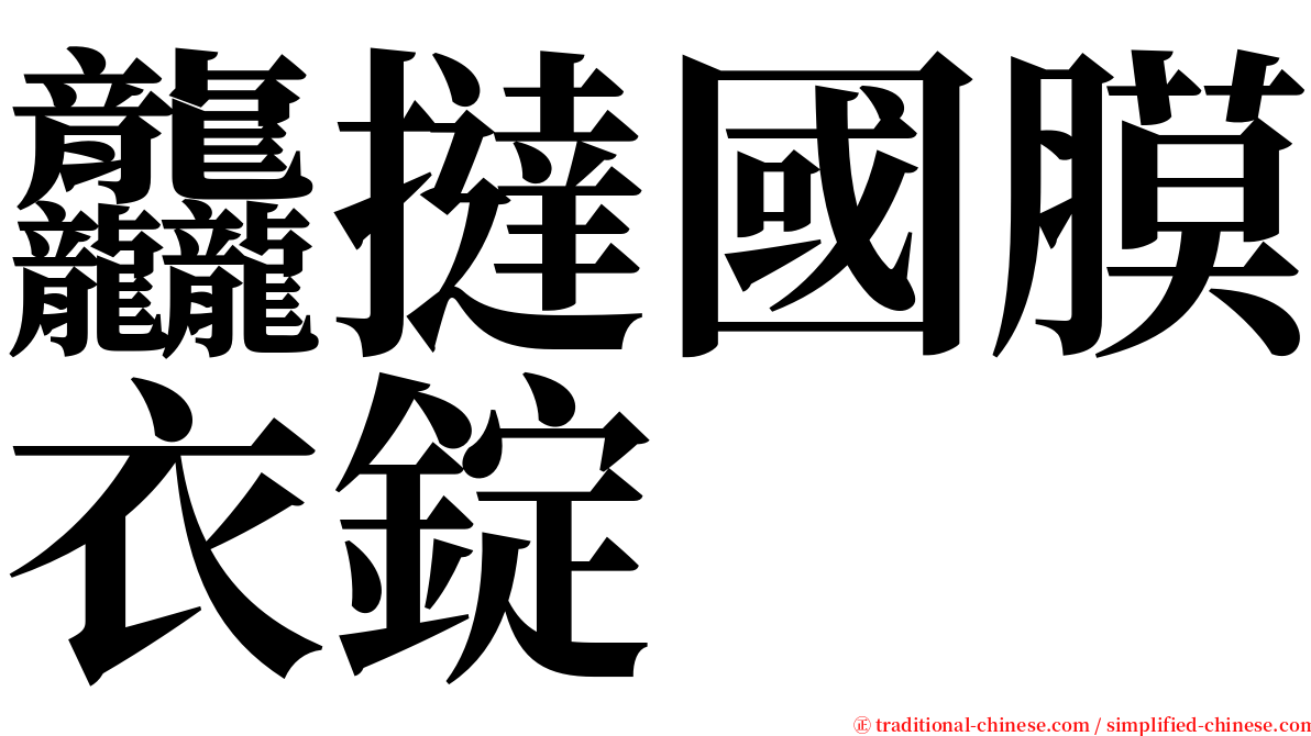 龘撻國膜衣錠 serif font