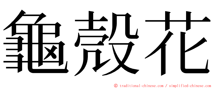 龜殼花 ming font