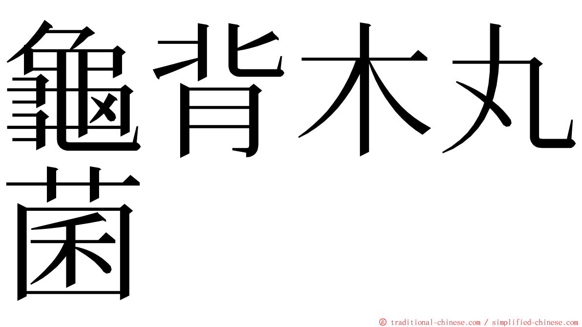 龜背木丸菌 ming font