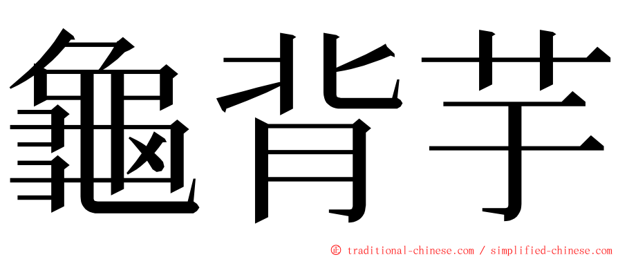 龜背芋 ming font