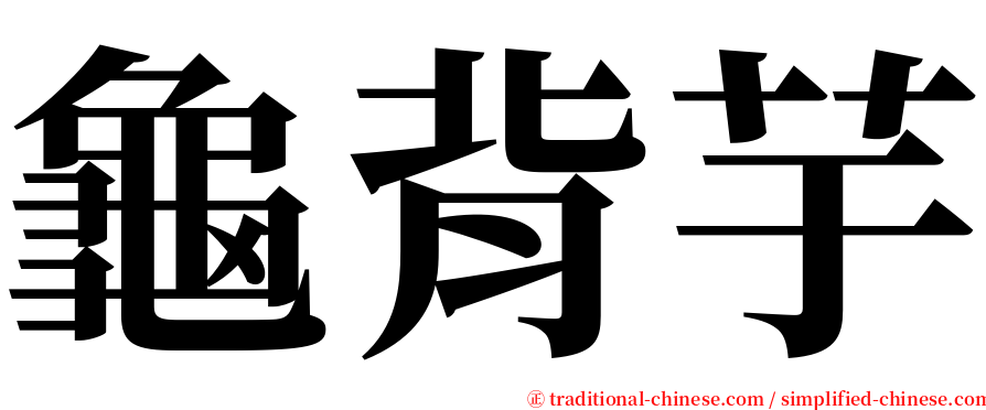 龜背芋 serif font