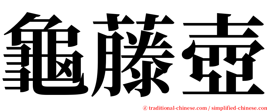 龜藤壺 serif font