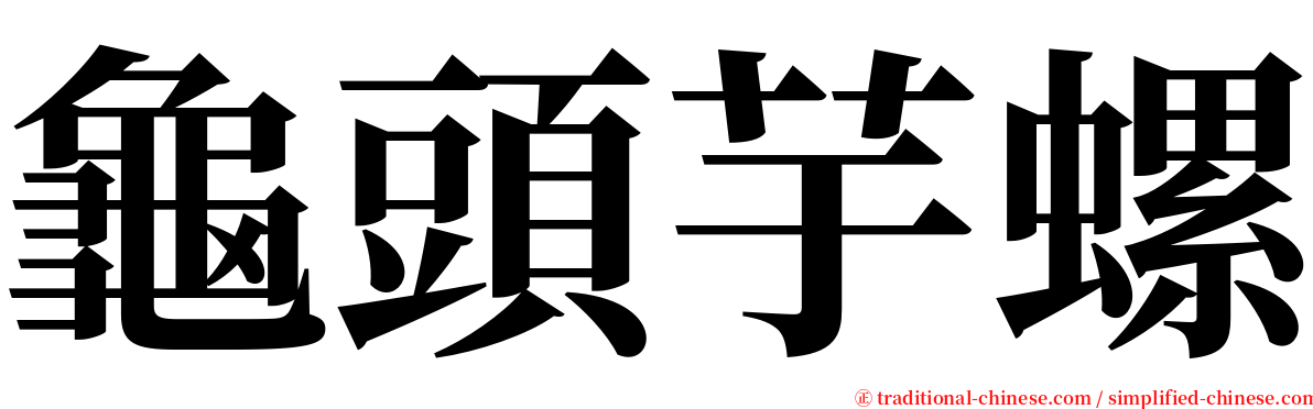 龜頭芋螺 serif font