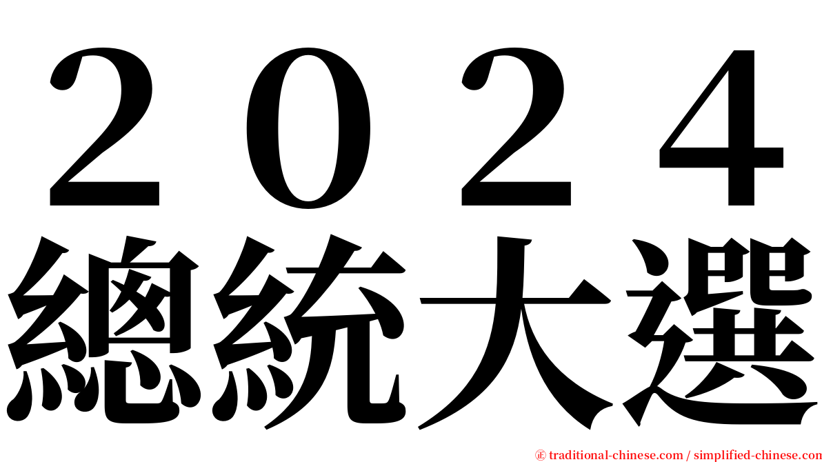 ２０２４總統大選 serif font