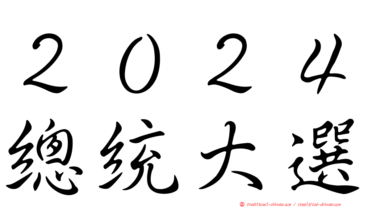 ２０２４總統大選