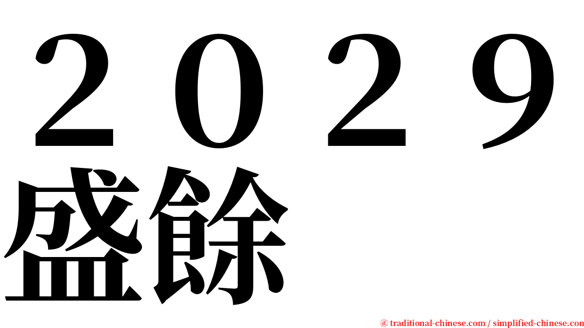 ２０２９盛餘 serif font