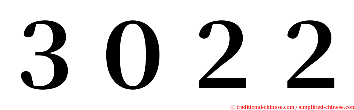 ３０２２ serif font