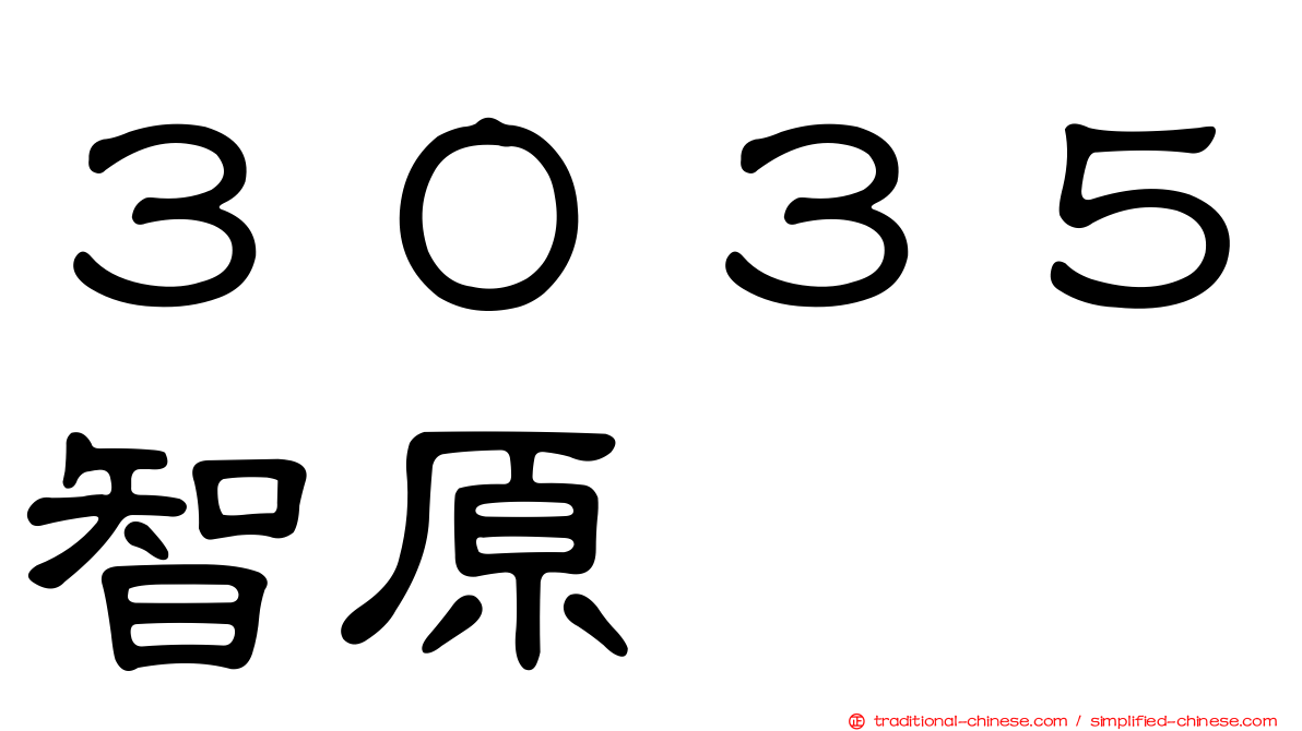 ３０３５智原