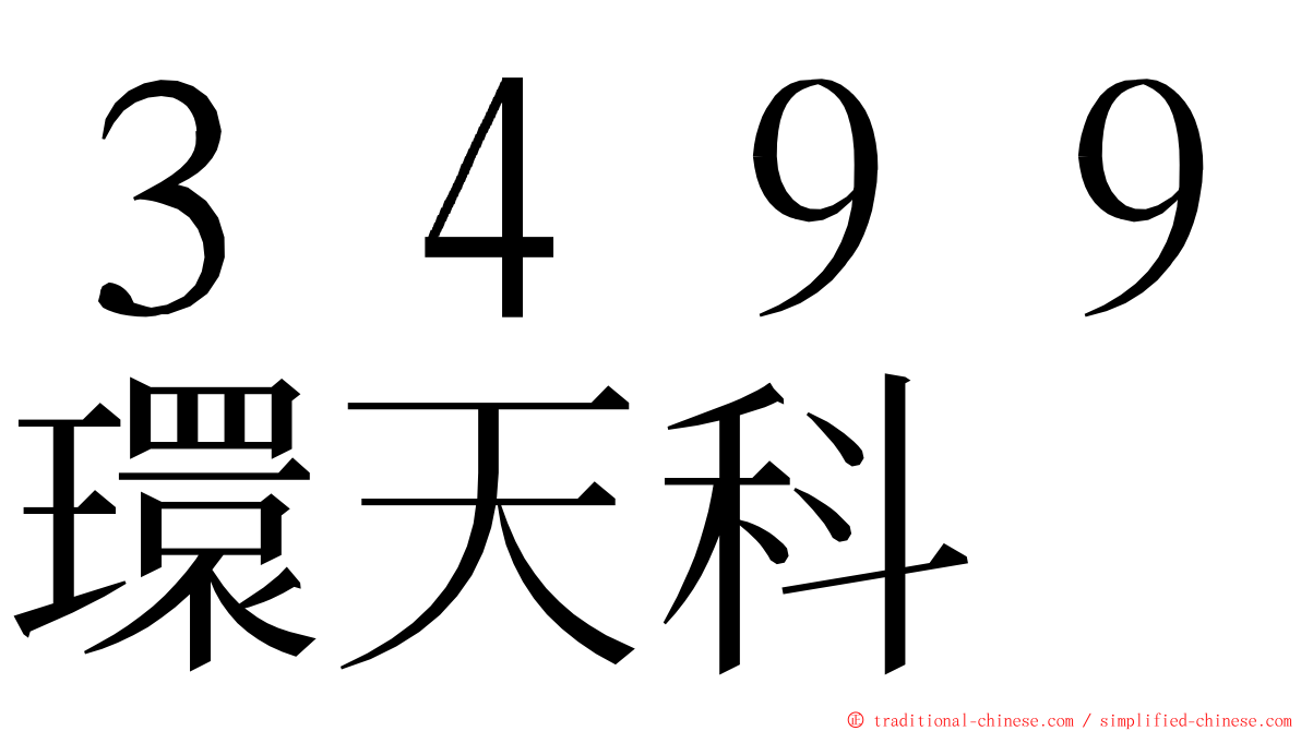 ３４９９環天科 ming font