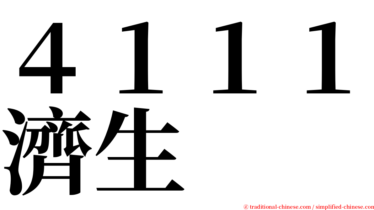 ４１１１濟生 serif font