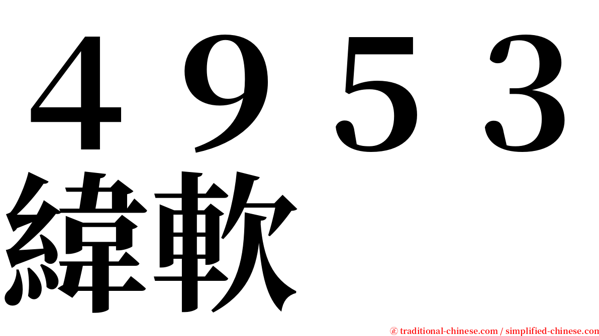 ４９５３緯軟 serif font