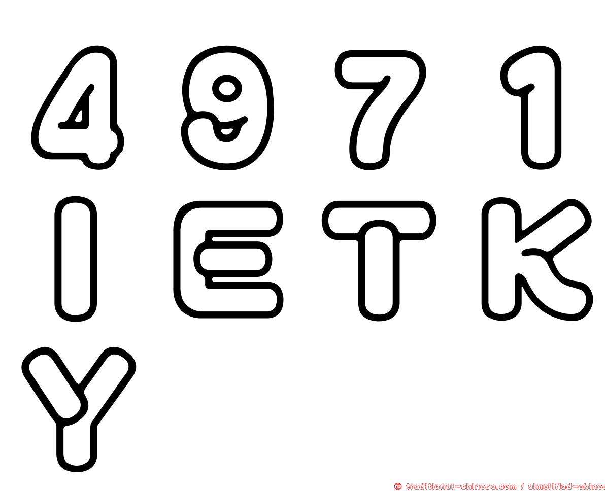 ４９７１ＩＥＴＫＹ