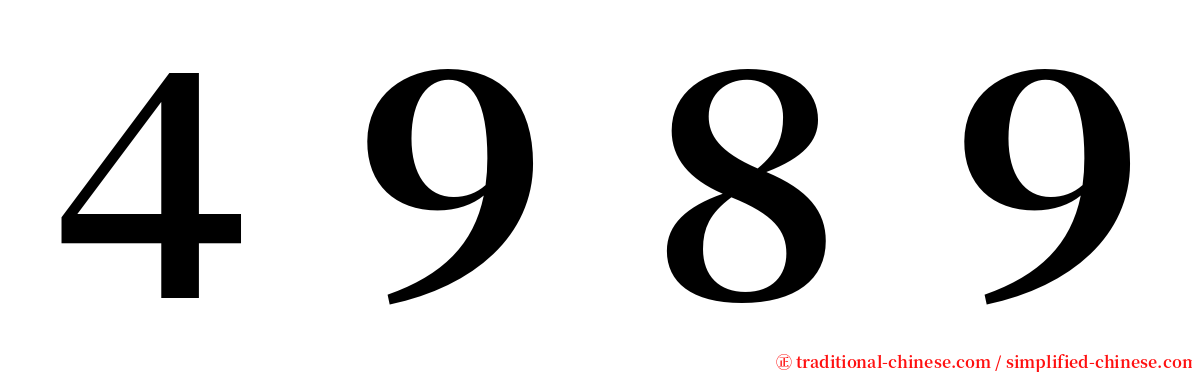 ４９８９ serif font