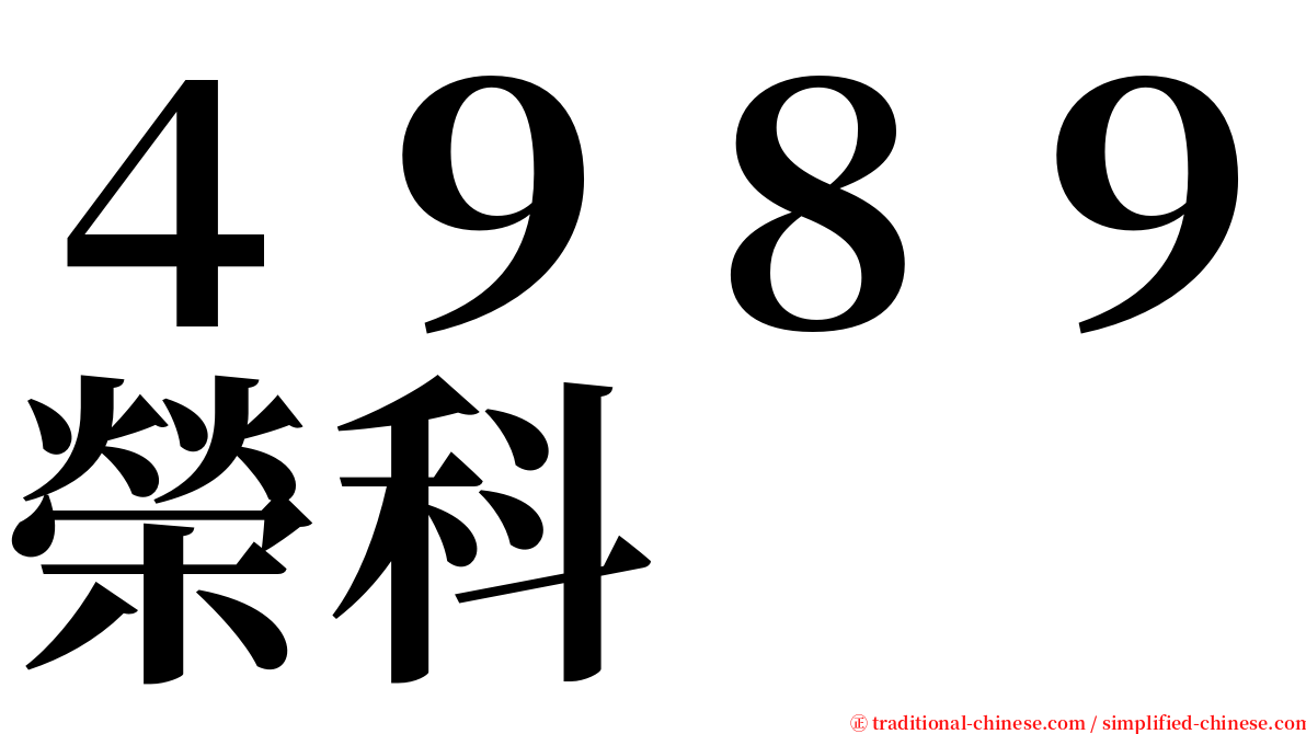 ４９８９榮科 serif font